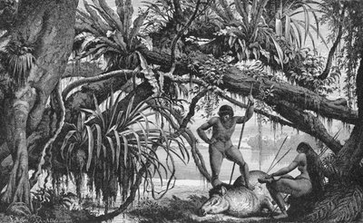 Caripuna Indians with Tapir, from 
